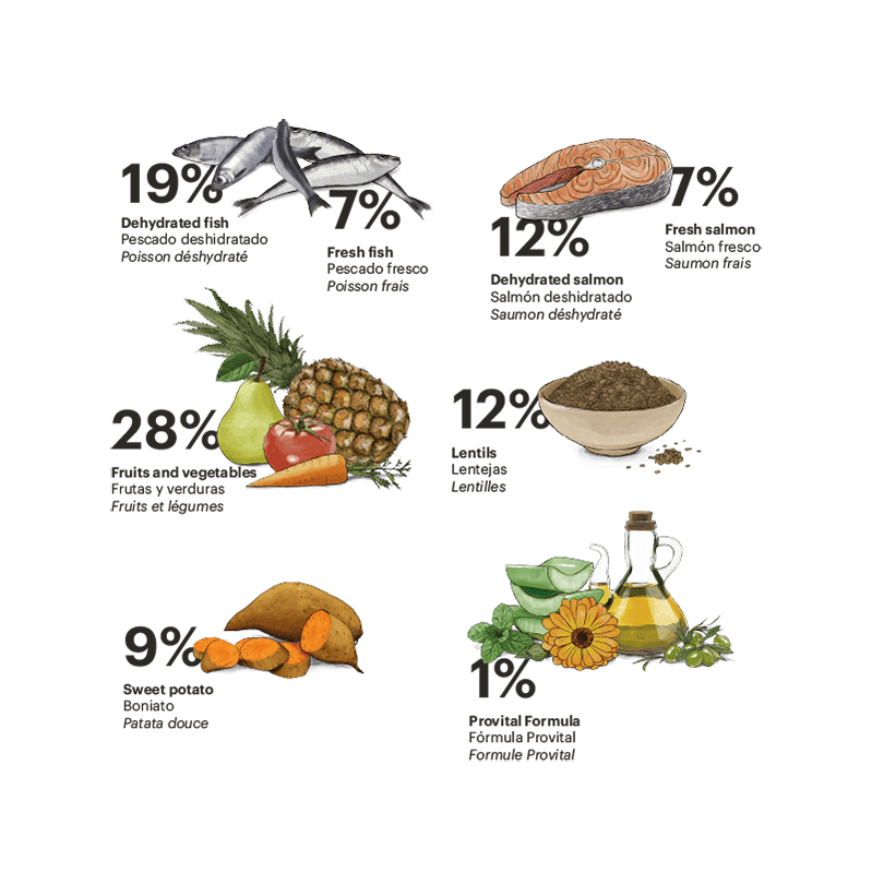 Exclusive Grain Free Dog Adult Medium Fish